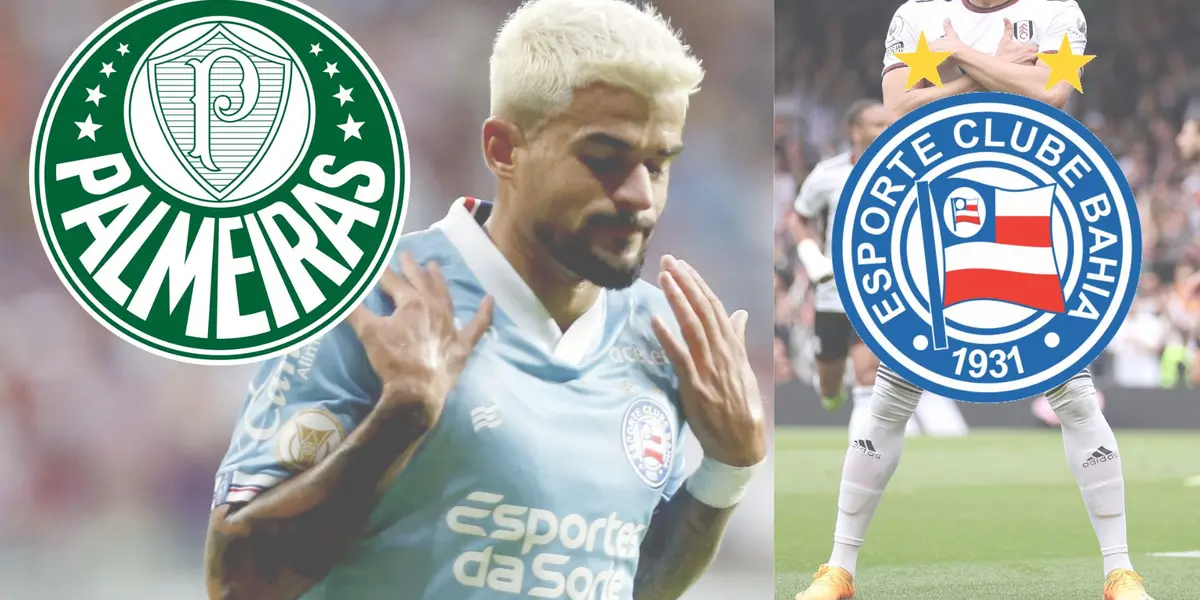 Bahia está com tudo e Palmeiras fica com medo